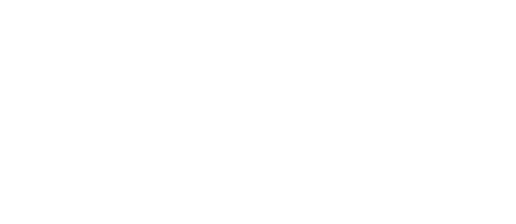 Selsa Logo