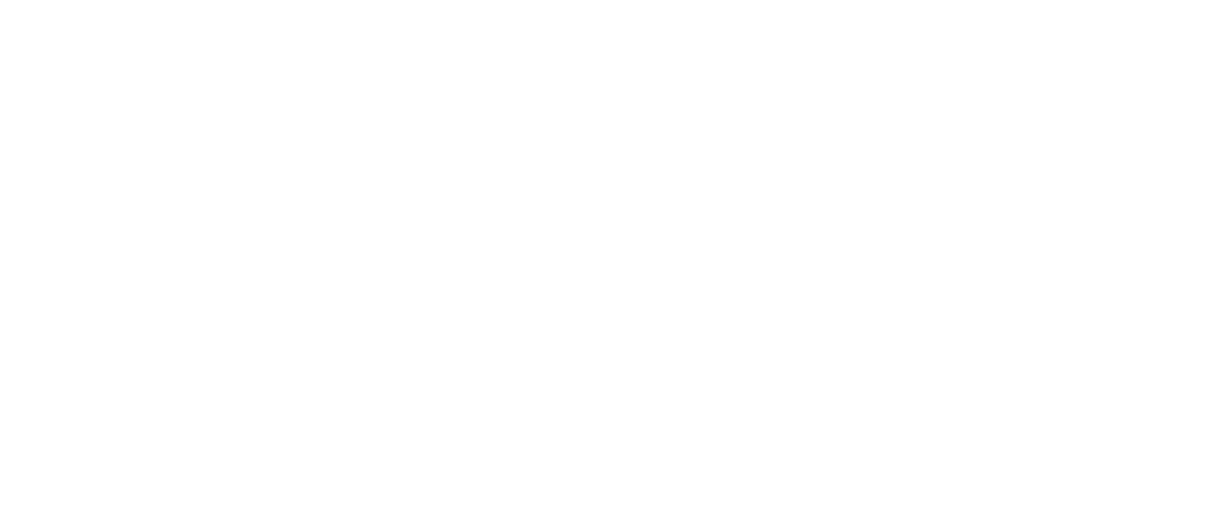 Selsa Logo